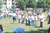 ‘Alberi che camminano’ a Fermo